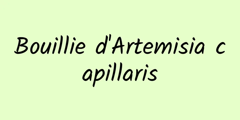 Bouillie d'Artemisia capillaris