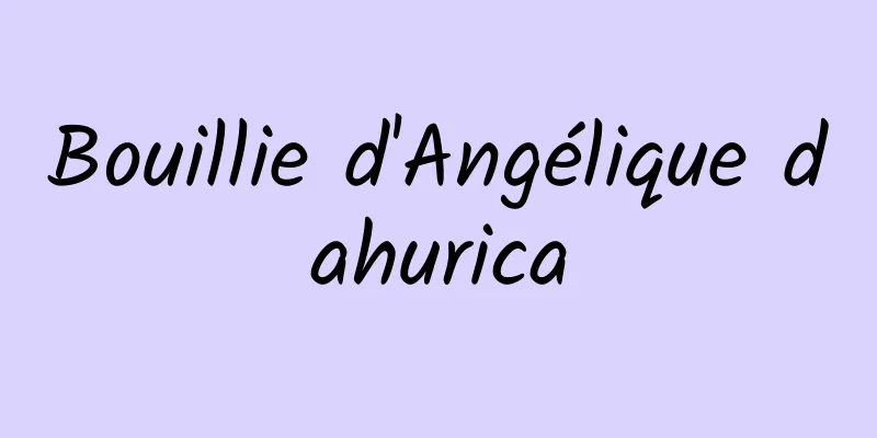 Bouillie d'Angélique dahurica