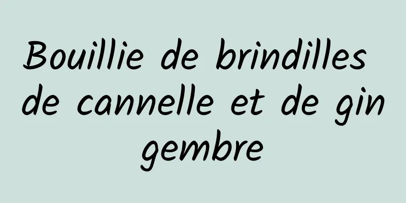 Bouillie de brindilles de cannelle et de gingembre