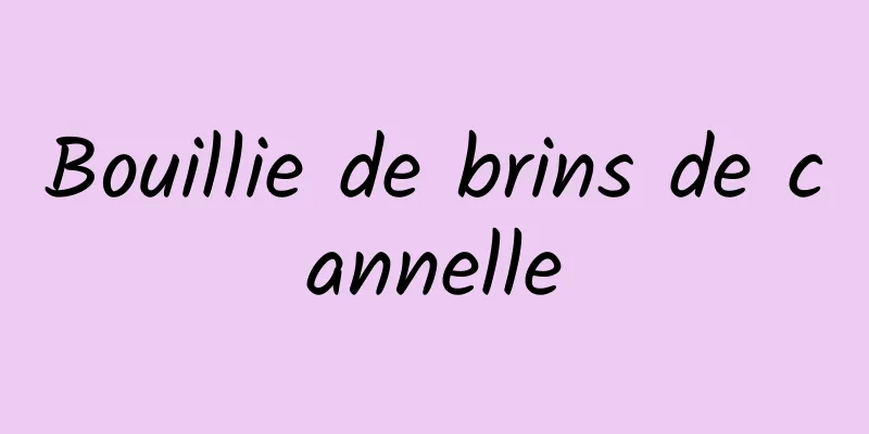 Bouillie de brins de cannelle