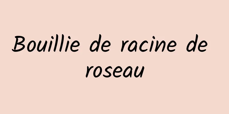 Bouillie de racine de roseau