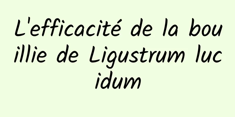 L'efficacité de la bouillie de Ligustrum lucidum