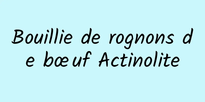 Bouillie de rognons de bœuf Actinolite