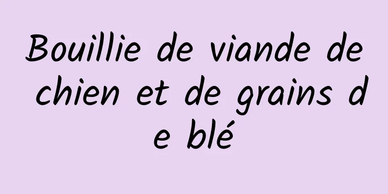 Bouillie de viande de chien et de grains de blé