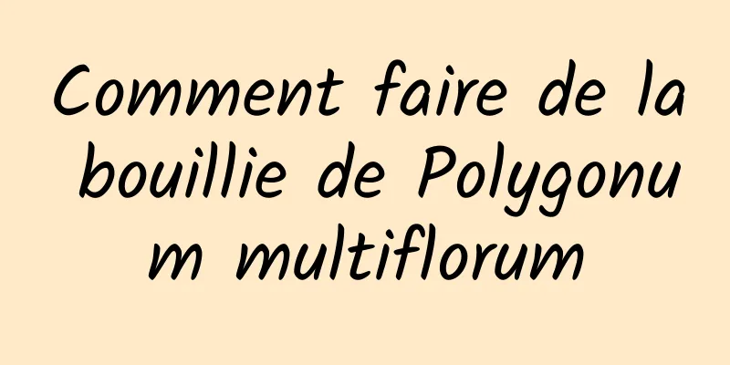 Comment faire de la bouillie de Polygonum multiflorum