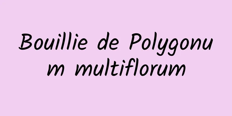 Bouillie de Polygonum multiflorum