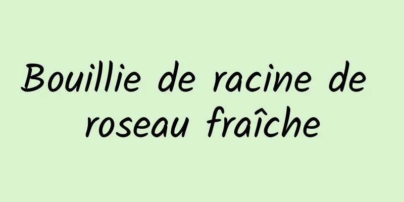 Bouillie de racine de roseau fraîche