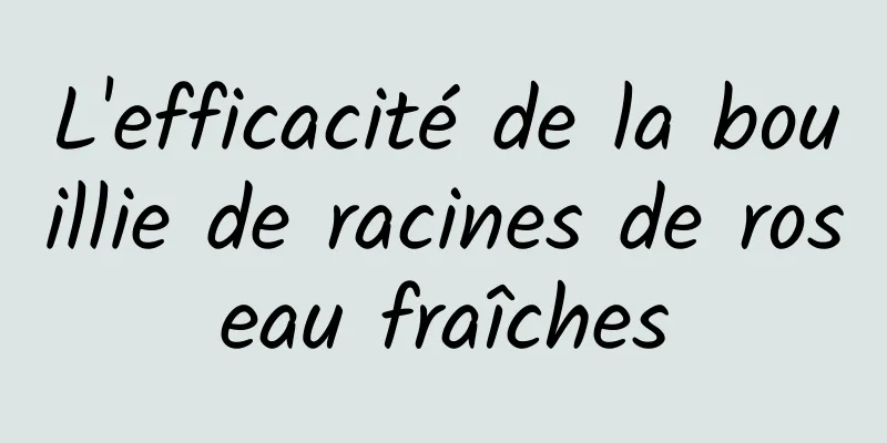 L'efficacité de la bouillie de racines de roseau fraîches