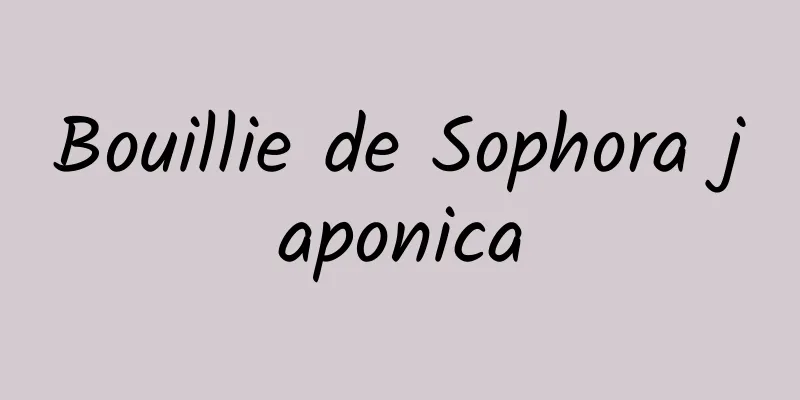 Bouillie de Sophora japonica