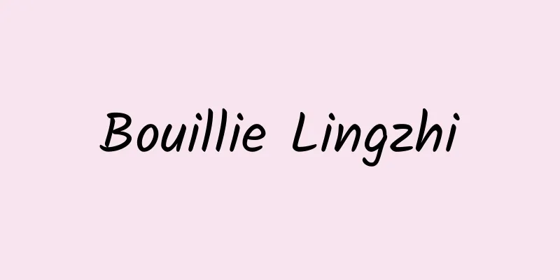 Bouillie Lingzhi