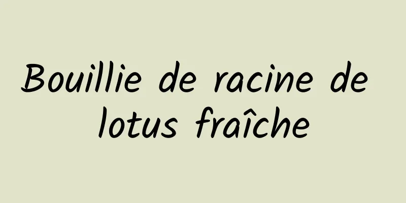 Bouillie de racine de lotus fraîche