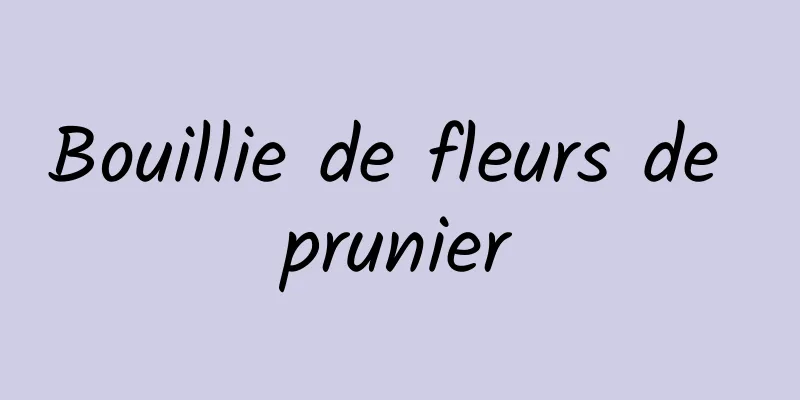 Bouillie de fleurs de prunier