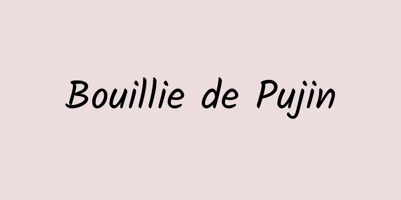 Bouillie de Pujin