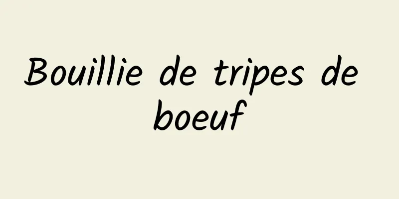 Bouillie de tripes de boeuf