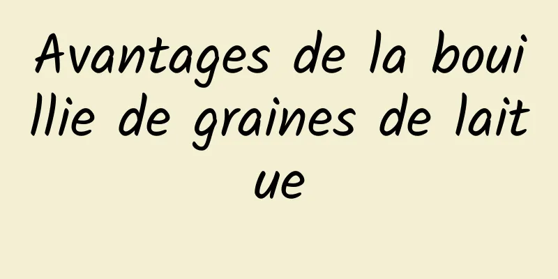 Avantages de la bouillie de graines de laitue