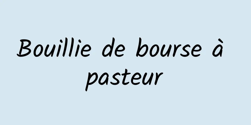 Bouillie de bourse à pasteur