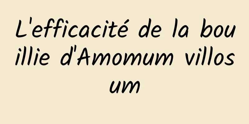 L'efficacité de la bouillie d'Amomum villosum