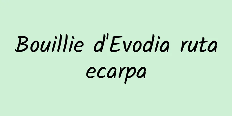 Bouillie d'Evodia rutaecarpa