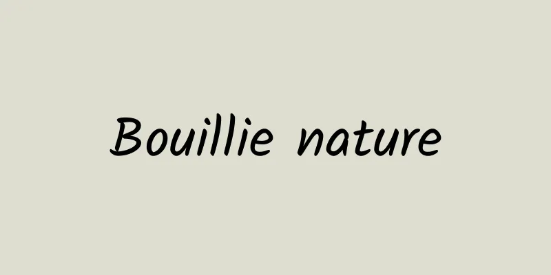 Bouillie nature