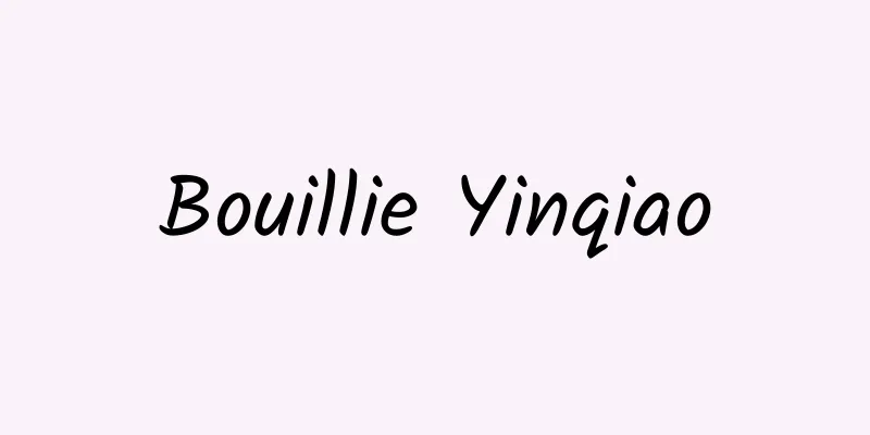 Bouillie Yinqiao