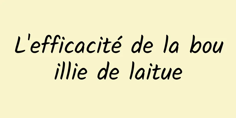 L'efficacité de la bouillie de laitue