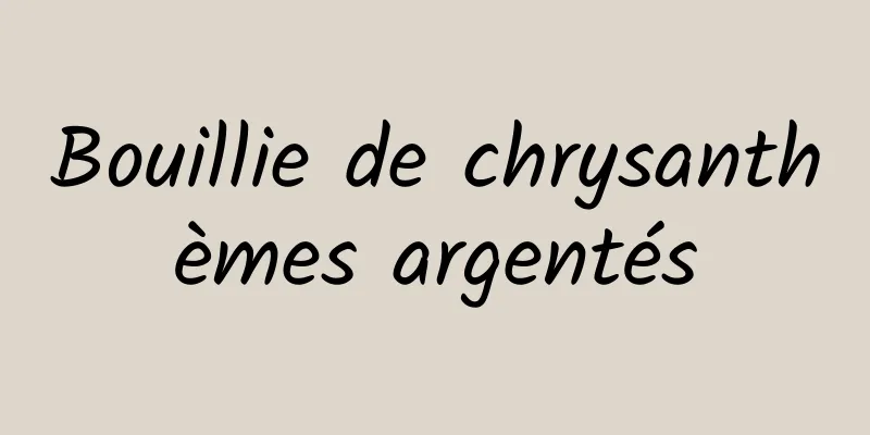 Bouillie de chrysanthèmes argentés