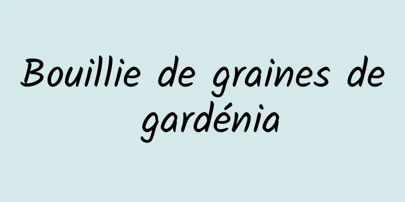 Bouillie de graines de gardénia