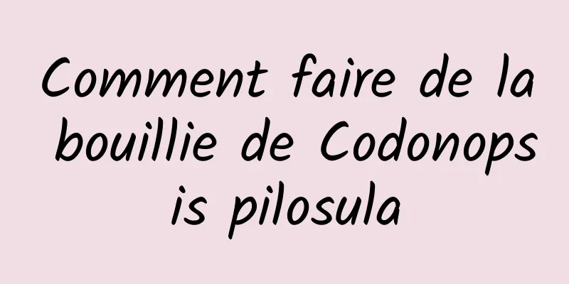 Comment faire de la bouillie de Codonopsis pilosula