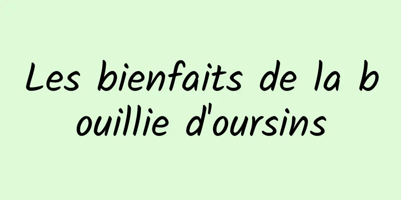 Les bienfaits de la bouillie d'oursins