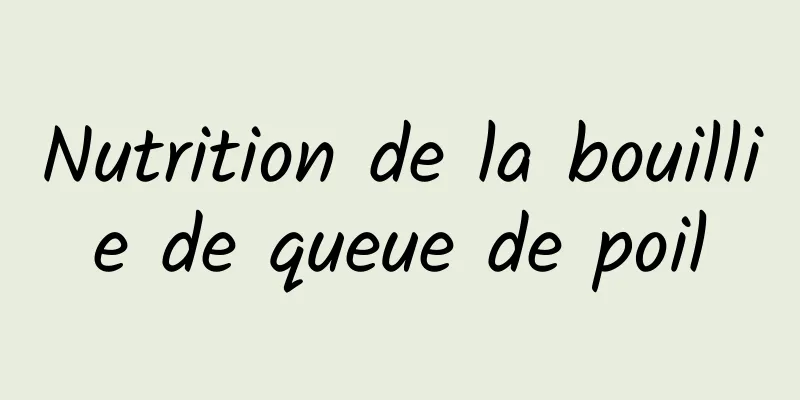 Nutrition de la bouillie de queue de poil