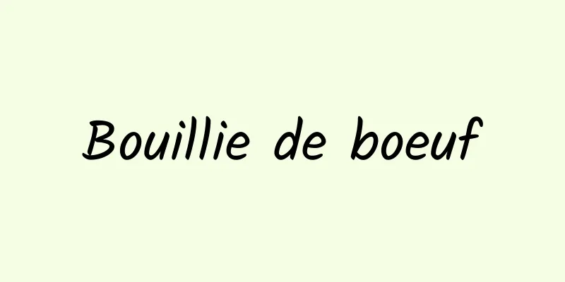 Bouillie de boeuf