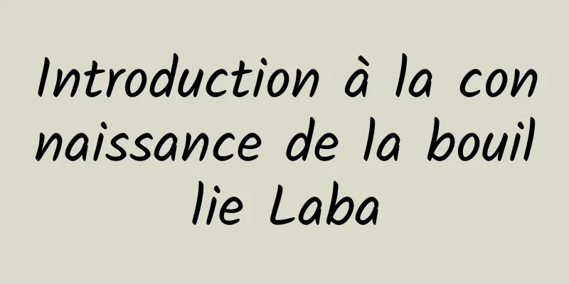 Introduction à la connaissance de la bouillie Laba