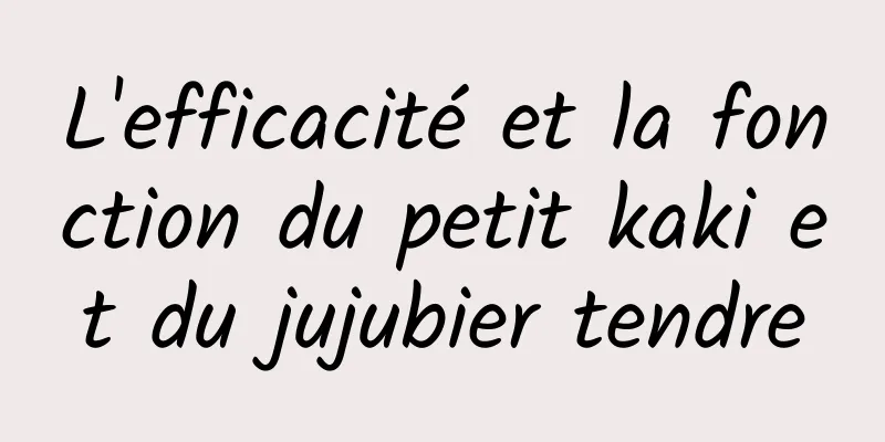 L'efficacité et la fonction du petit kaki et du jujubier tendre