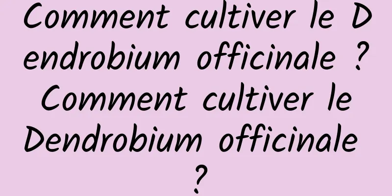 Comment cultiver le Dendrobium officinale ? Comment cultiver le Dendrobium officinale ?