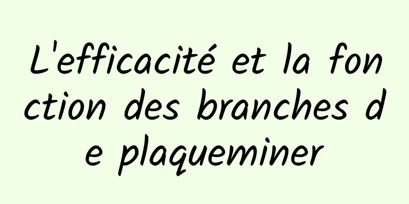 L'efficacité et la fonction des branches de plaqueminer