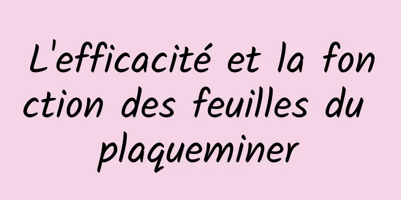 L'efficacité et la fonction des feuilles du plaqueminer