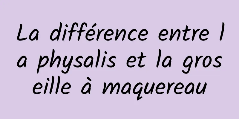 La différence entre la physalis et la groseille à maquereau