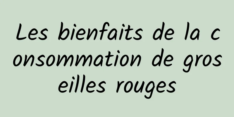 Les bienfaits de la consommation de groseilles rouges