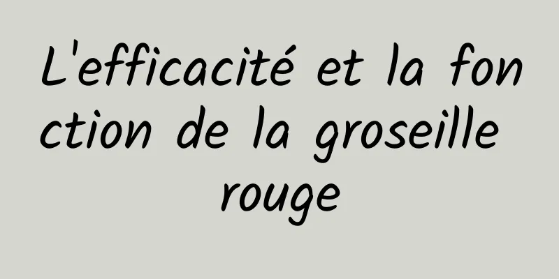 L'efficacité et la fonction de la groseille rouge