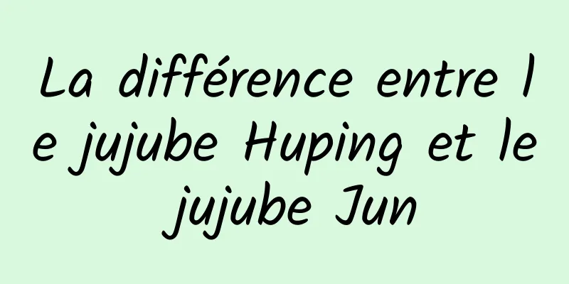 La différence entre le jujube Huping et le jujube Jun