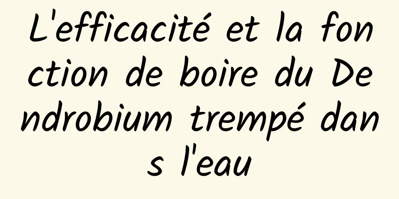 L'efficacité et la fonction de boire du Dendrobium trempé dans l'eau