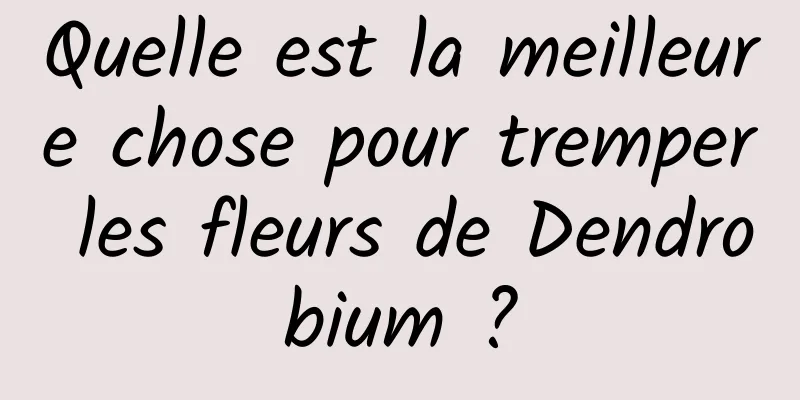 Quelle est la meilleure chose pour tremper les fleurs de Dendrobium ?