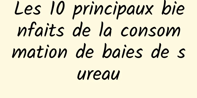 Les 10 principaux bienfaits de la consommation de baies de sureau