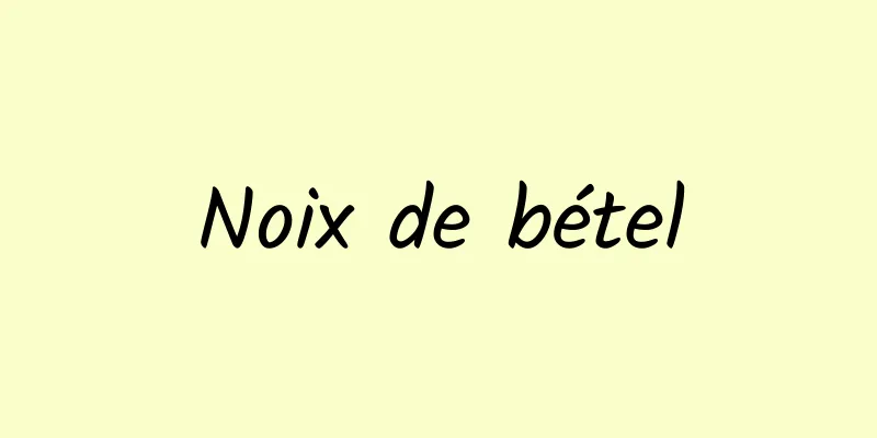 Noix de bétel