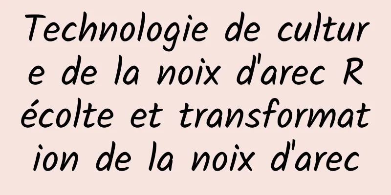 Technologie de culture de la noix d'arec Récolte et transformation de la noix d'arec