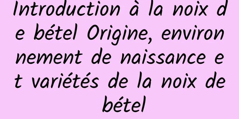 Introduction à la noix de bétel Origine, environnement de naissance et variétés de la noix de bétel