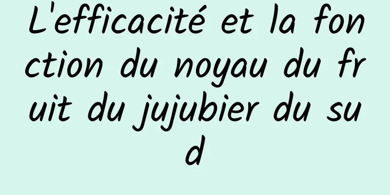 L'efficacité et la fonction du noyau du fruit du jujubier du sud