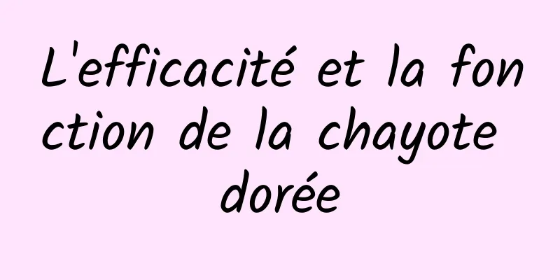 L'efficacité et la fonction de la chayote dorée