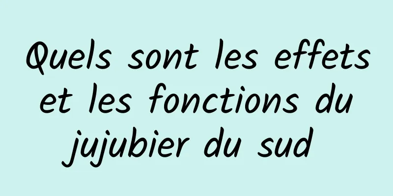 Quels sont les effets et les fonctions du jujubier du sud