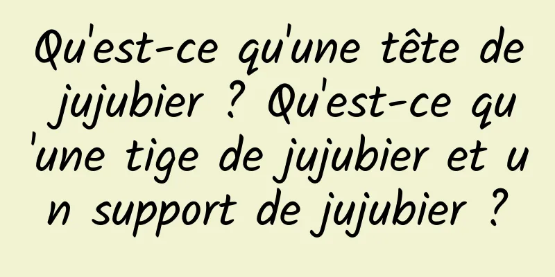 Qu'est-ce qu'une tête de jujubier ? Qu'est-ce qu'une tige de jujubier et un support de jujubier ?